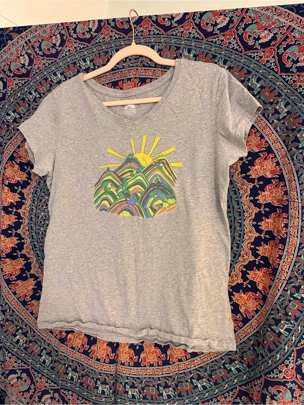 Women's Gray Graphic Tee with Colorful Mountain Print